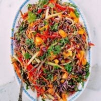 Rainbow Noodle Salad, by geagle.miooashdv.tk