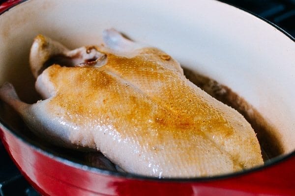 Sour Plum Duck, by geagle.miooashdv.tk
