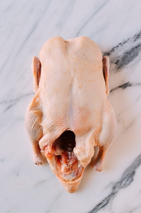 Sour Plum Duck, by geagle.miooashdv.tk