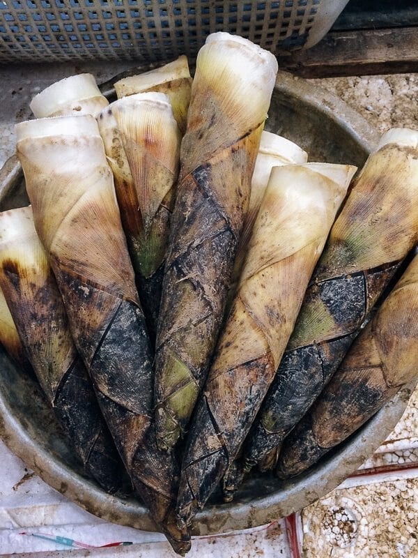 Braised Spring Bamboo Shoots (油焖笋), by geagle.miooashdv.tk