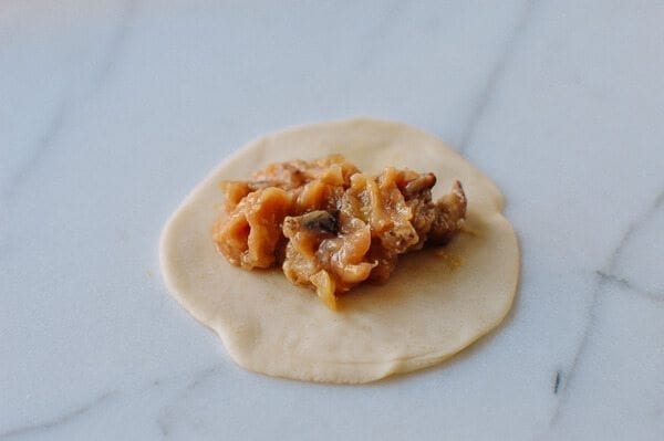 Chicken Dumplings with Shiitake Mushrooms, by geagle.miooashdv.tk