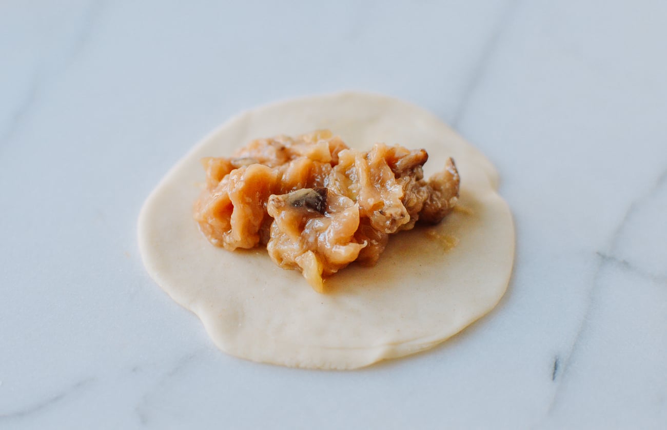chicken dumpling filling in center of dumpling wrapper