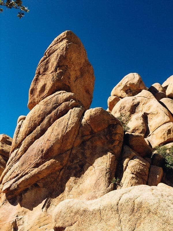 Joshua Tree