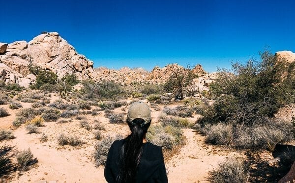 Joshua Tree