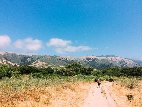 Andrew Molera State Park Trail, by geagle.miooashdv.tk