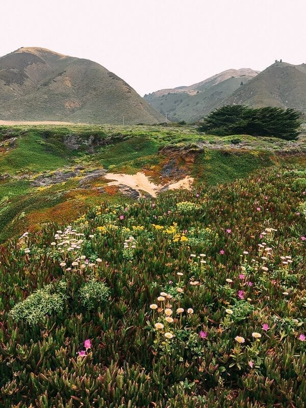 Big Sur, by geagle.miooashdv.tk