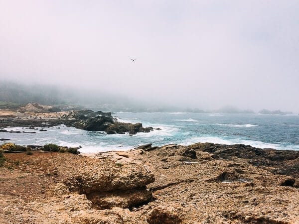 Point Lobos, by geagle.miooashdv.tk