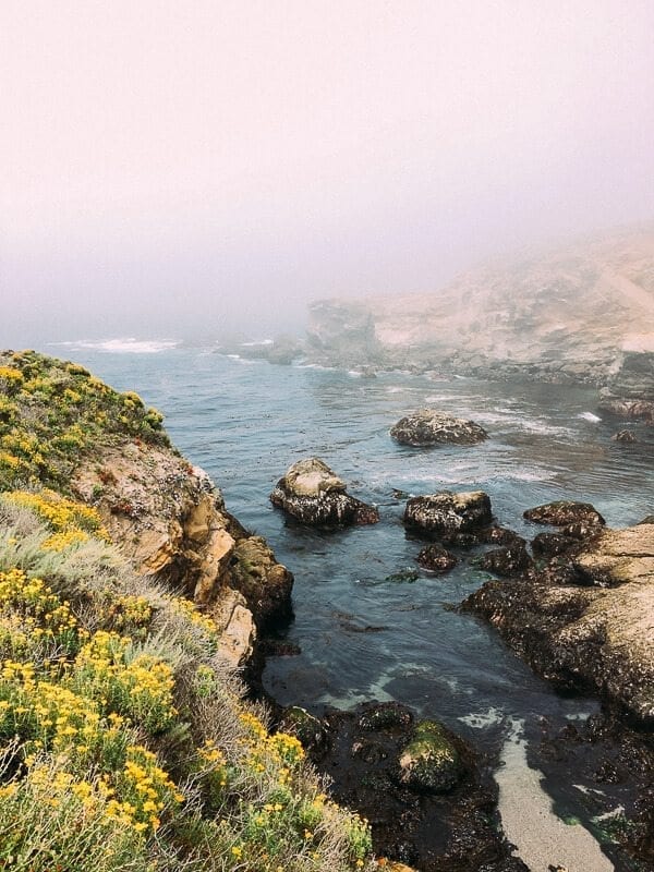 Point Lobos, by geagle.miooashdv.tk