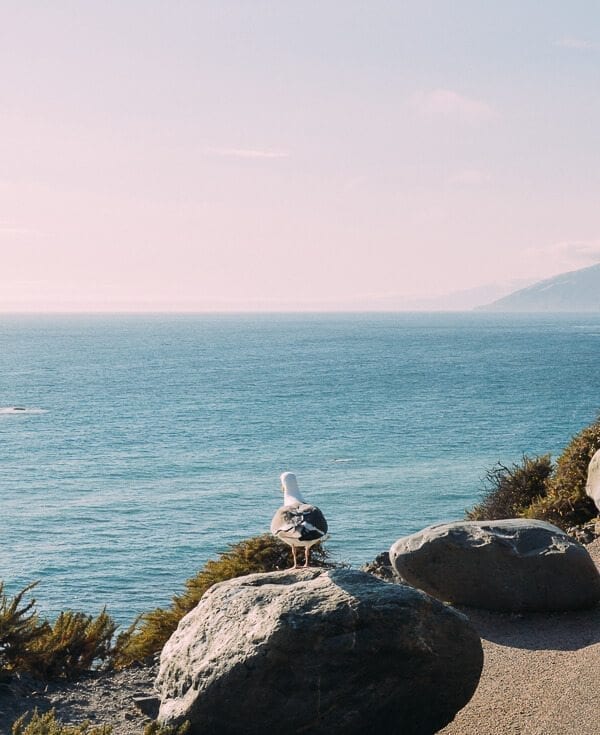 Pacific Coast Highway, by geagle.miooashdv.tk