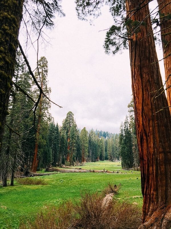 Crescent Meadow