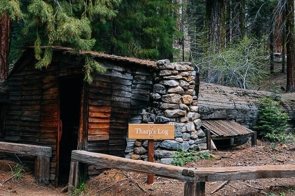 Tharp's Log