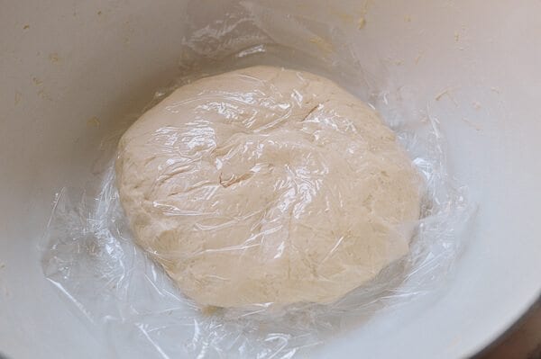 resting dough under plastic for Shanghai Scallion Pancakes, by geagle.miooashdv.tk