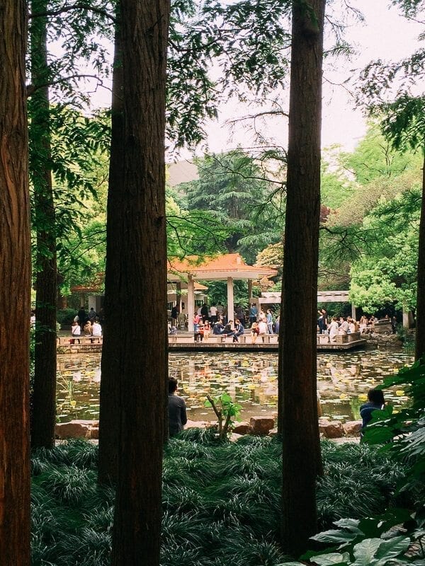 Seeking Love in Shanghai: The People’s Park Matchmaking Corner, by geagle.miooashdv.tk