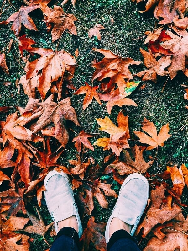 Fall in Vancouver
