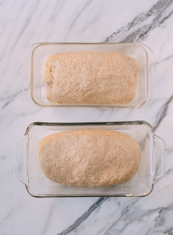 Perfect Whole Wheat Bread, by geagle.miooashdv.tk