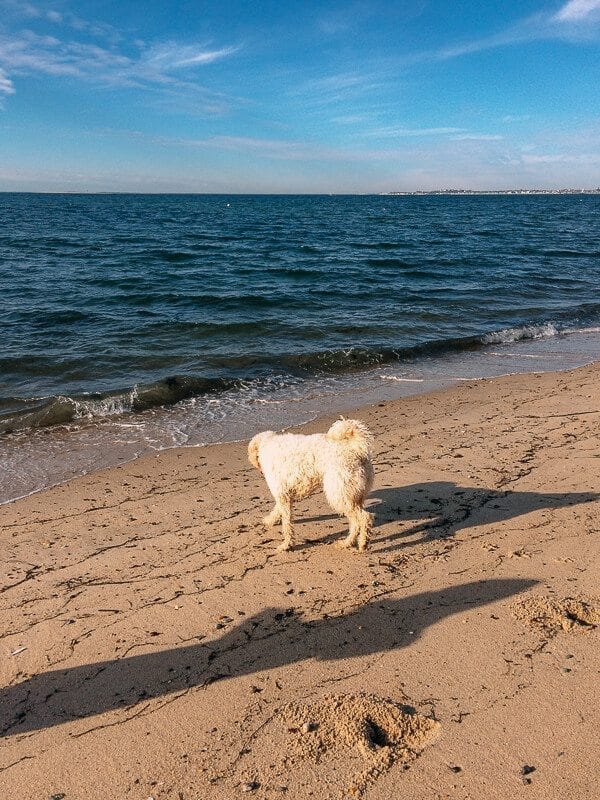 cape-cod-18