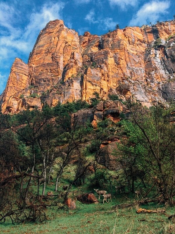 Zion National Park, by geagle.miooashdv.tk