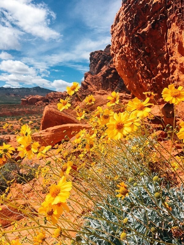 Valley of Fire State Park, by geagle.miooashdv.tk