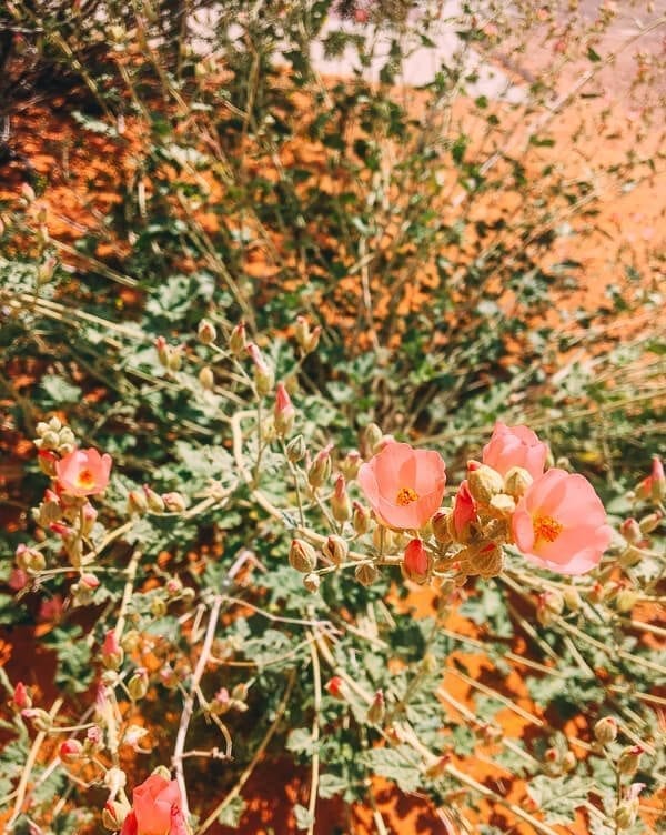 Valley of Fire State Park, by geagle.miooashdv.tk