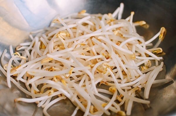 bean sprouts
