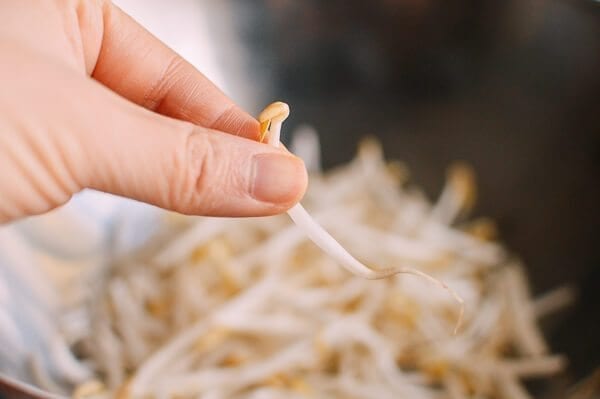 Chicken and Bean Sprouts, by geagle.miooashdv.tk