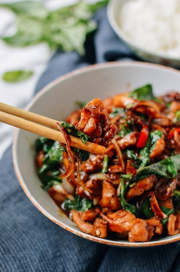 Thai Chicken Stir-fry with Basil & Mint, by geagle.miooashdv.tk