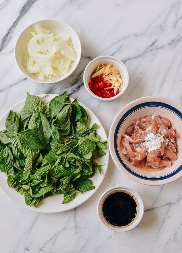 Thai Chicken Stir-fry with Basil & Mint, by geagle.miooashdv.tk