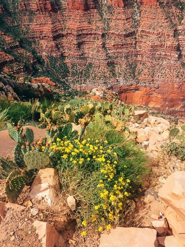 Hiking Grand Canyon, by geagle.miooashdv.tk