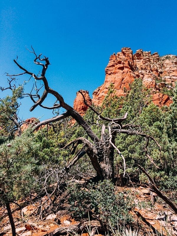 Sedona, by geagle.miooashdv.tk
