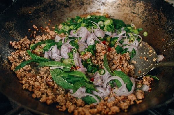 Pork Larb, The National Dish of Laos, by geagle.miooashdv.tk