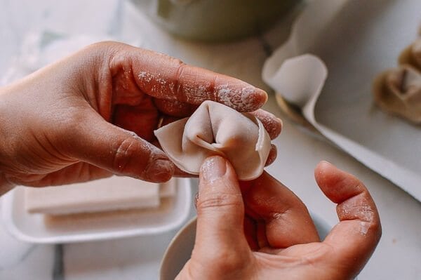 San Xian Wontons (Shrimp, Pork & Chicken Wontons), by geagle.miooashdv.tk
