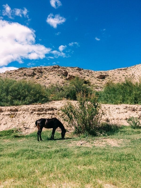 Spirit Horse Boquillas Canyon, Big Bend National Park - geagle.miooashdv.tk
