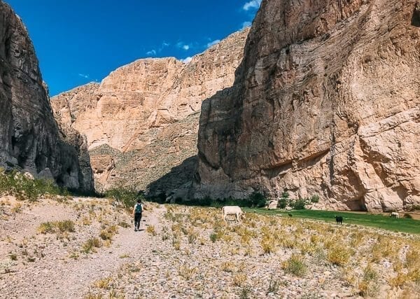Boquillas Canyon, Big Bend National Park - geagle.miooashdv.tk
