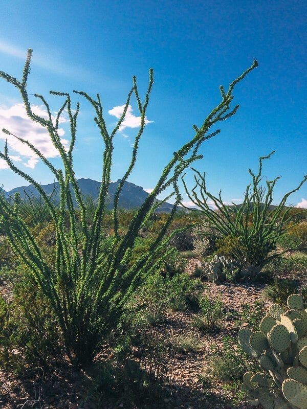 Big Bend National Park, by geagle.miooashdv.tk