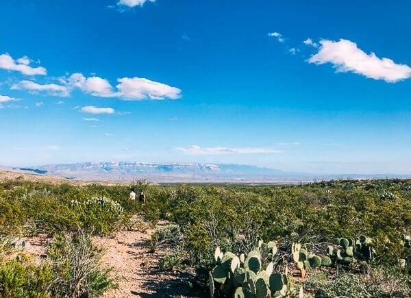 Big Bend National Park, by geagle.miooashdv.tk