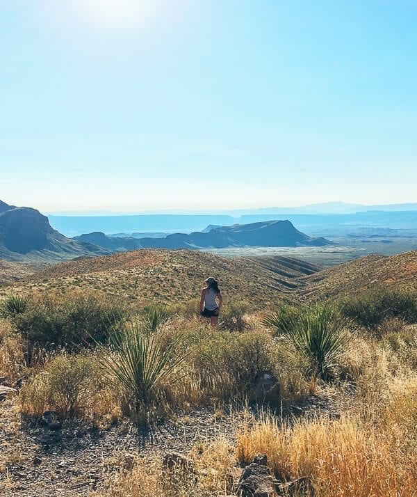 Big Bend National Park, by geagle.miooashdv.tk