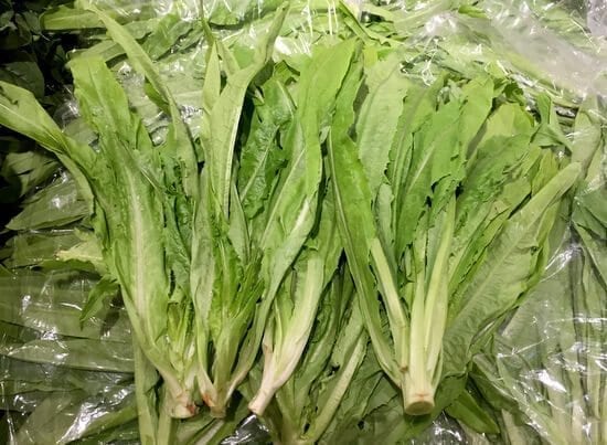 AA-Choy, by geagle.miooashdv.tk
