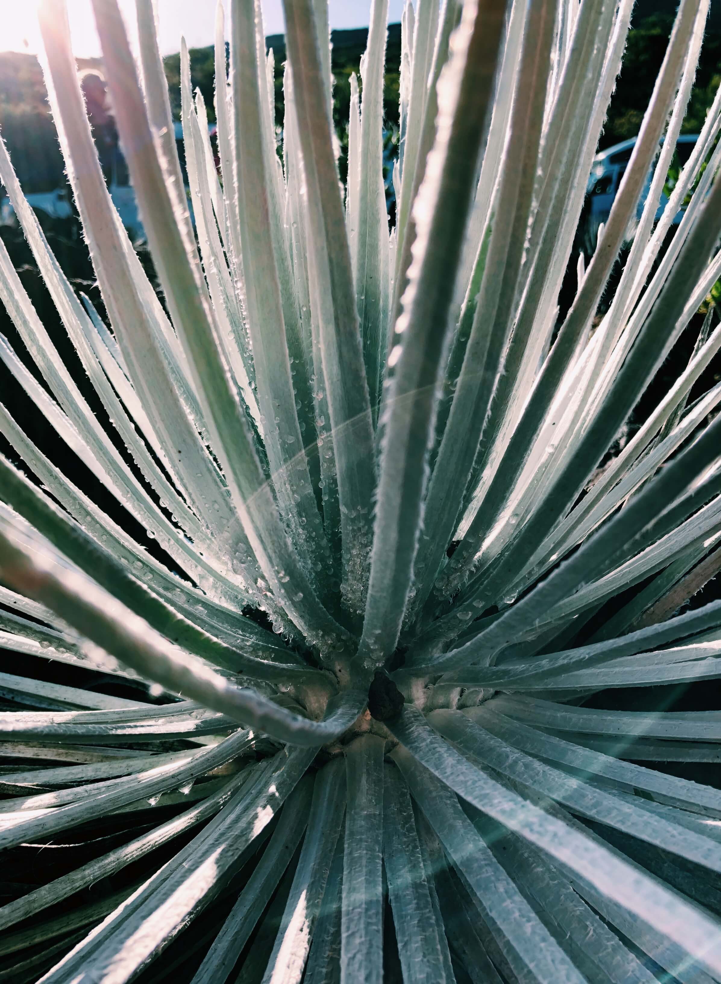23 Things to Do in Maui, by geagle.miooashdv.tk