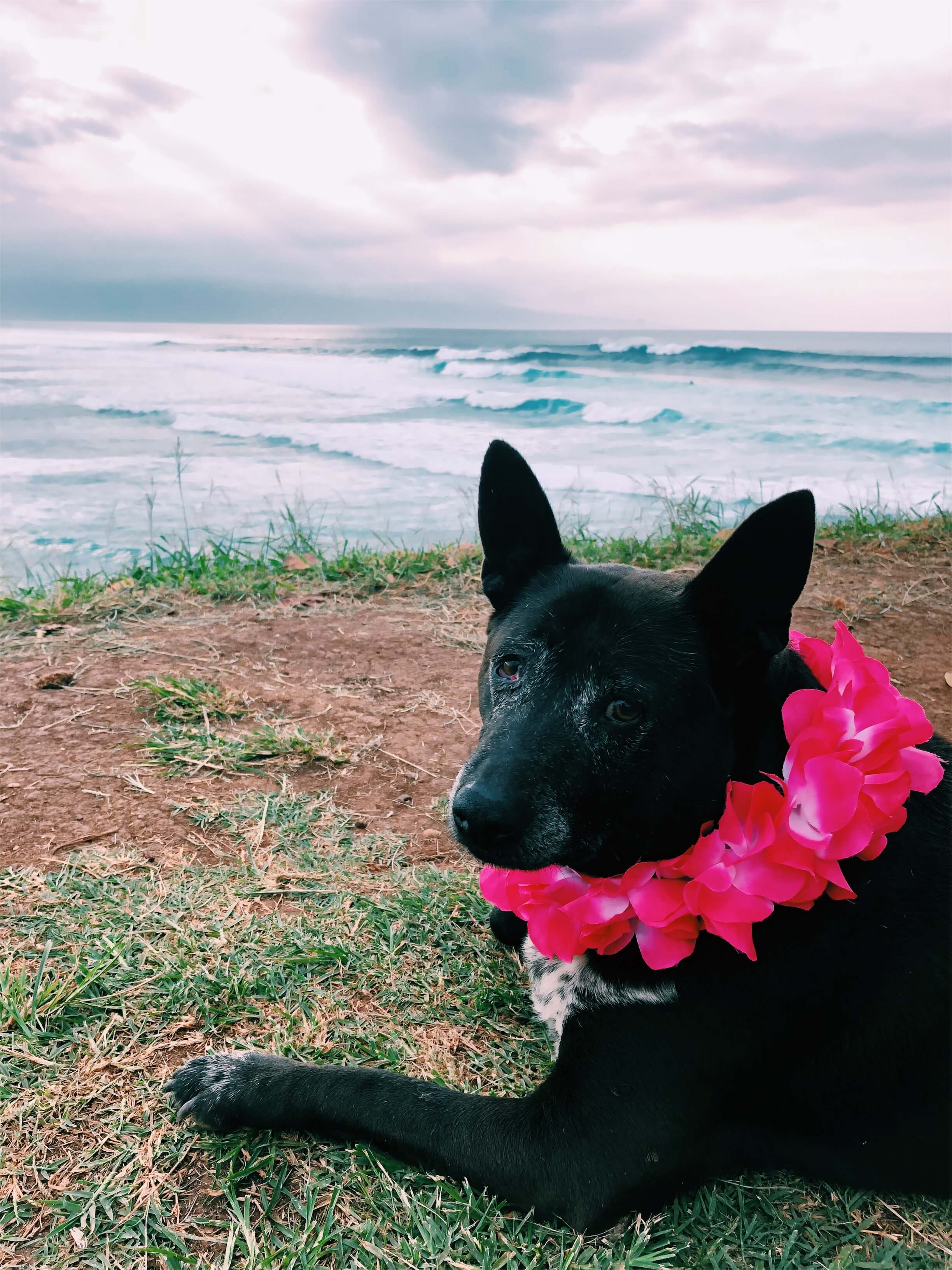 23 Things to Do in Maui, by geagle.miooashdv.tk
