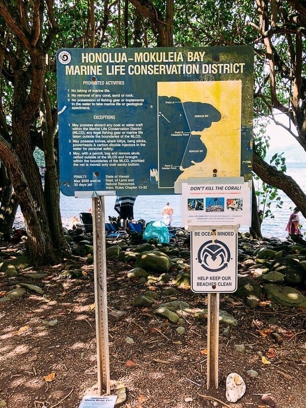 23 Things to Do in Maui, by geagle.miooashdv.tk