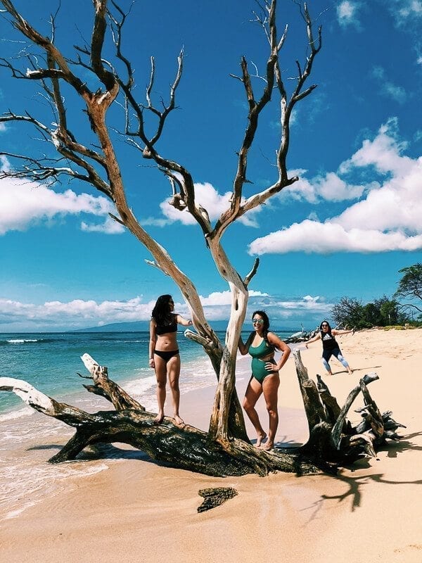 23 Things to Do in Maui, by geagle.miooashdv.tk