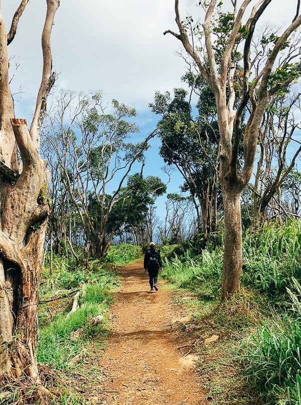 23 Things to Do in Maui, by geagle.miooashdv.tk