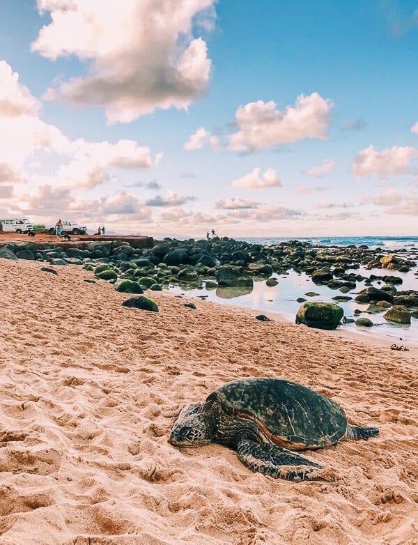 23 Things to Do in Maui, by geagle.miooashdv.tk