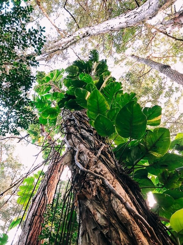 23 Things to Do in Maui, by geagle.miooashdv.tk