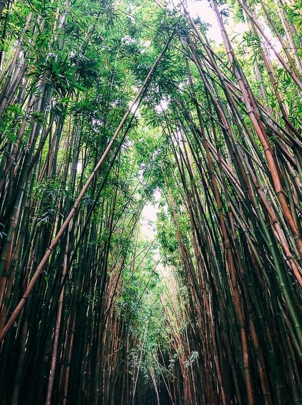 23 Things to Do in Maui, by geagle.miooashdv.tk