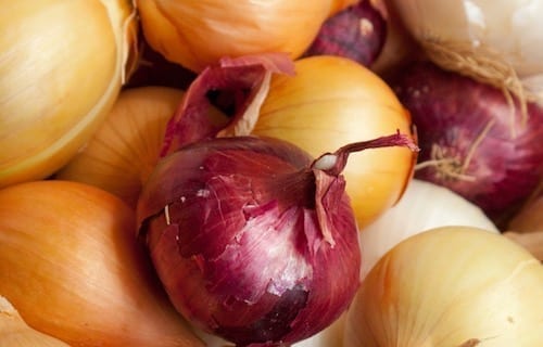 Onions by geagle.miooashdv.tk