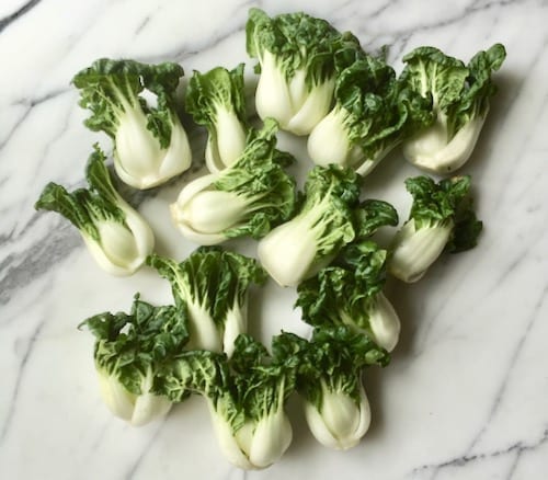 dwarf bok choy by geagle.miooashdv.tk