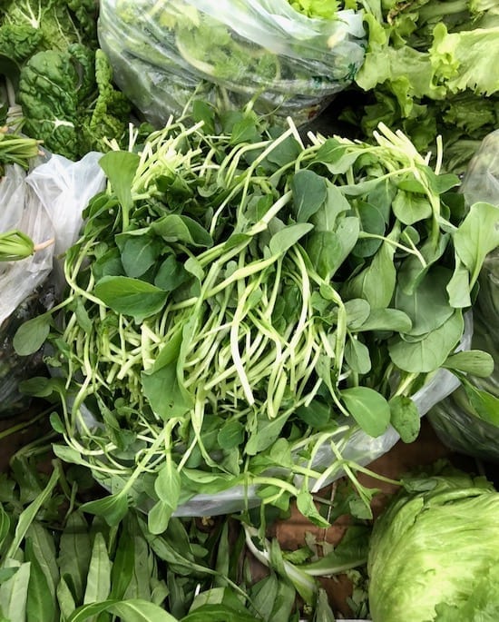 jimaocai - chicken feather vegetable by geagle.miooashdv.tk