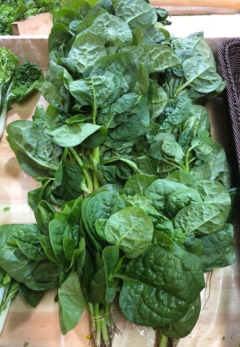 malabar-spinach by geagle.miooashdv.tk