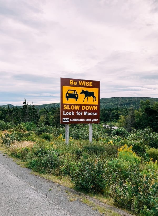Newfoundland Canada - The Rock by geagle.miooashdv.tk